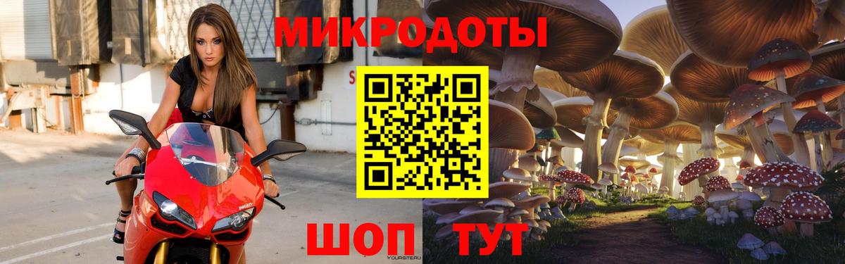 Галлюциногенные грибы Cubensis Орёл